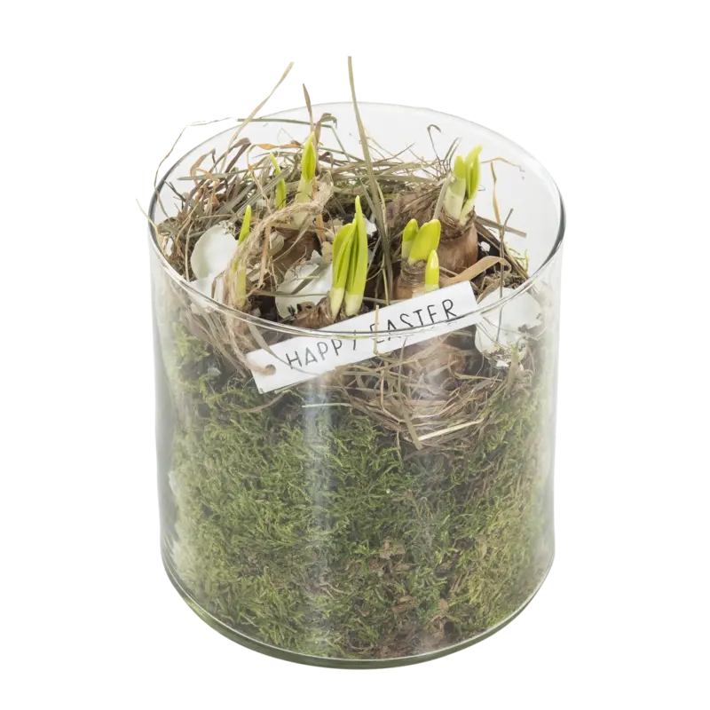 Paasarrangement cilinderglas met narcis