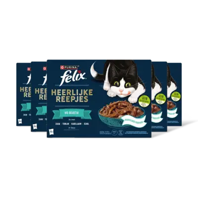 pdp-image-Felix Heerlijke reepjes vis selectie saus 5pk