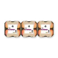 AH Fuji schaal 3-pack