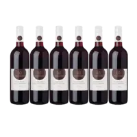 Sarmentino Cabernet sauvignon 6 flessen