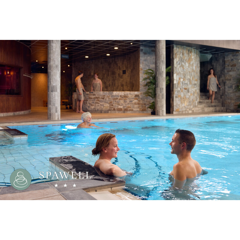  Dagentree Sauna SpaWell