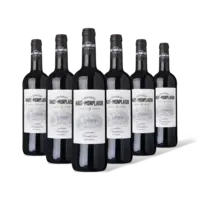 Chateau Monplaisir Malbec 6 flessen