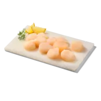 AH Excellent Coquilles