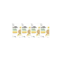 Gourmet Nature's creations kip & pompoen 4-pack