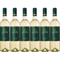 Grüner Veltliner borrelwijn 6 flessen