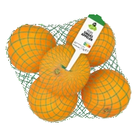 AH Biologisch Perssinaasappel