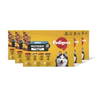 Pedigree Adult protein+ selectie in gelei 5-pack