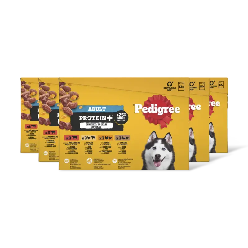 Pedigree Adult protein+ selectie in gelei 5-pack