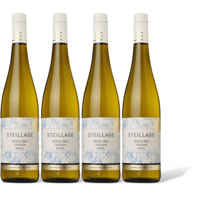pdp-image-AH Excellent Riesling 4 flessen