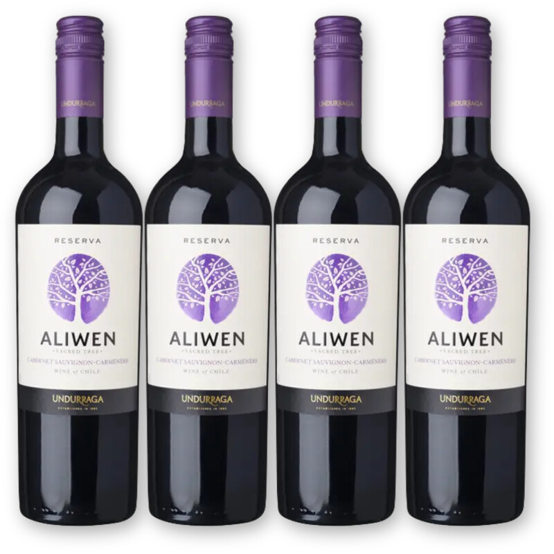Aliwen Aliwen Cab. Sauv. Carmenère 4 flessen