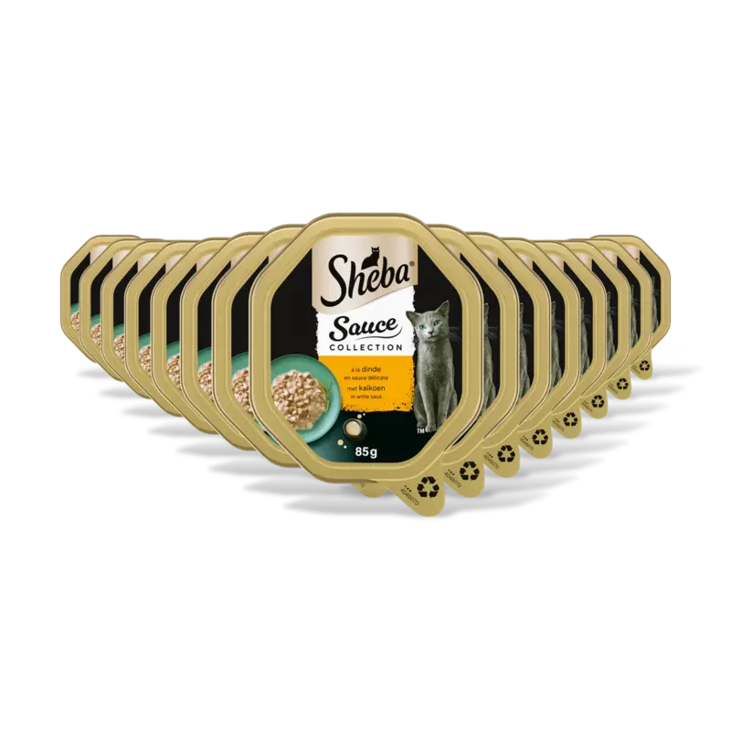 Mini filets met kalkoen in saus 15-pack