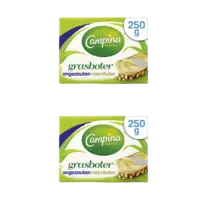 Campina Botergoud grasboter 2-pack