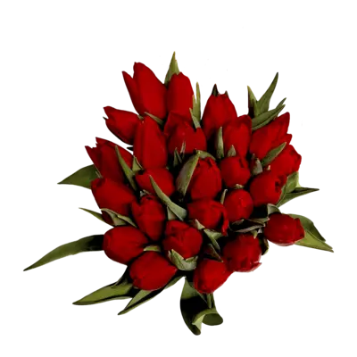 pdp-image-AH Megabos tulpen