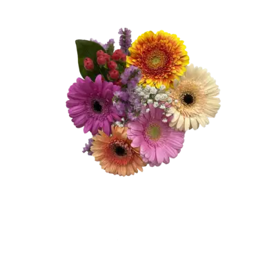 pdp-image-AH Gemengde bloemen germini