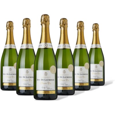 pdp-image-AH Excellent Selectie champagne brut Cru 6 flessen