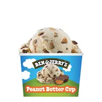 Ben & Jerry's Peanut butter cup