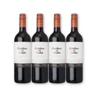 Casillero del Diablo Casillero Carmenère Res. 4 flessen