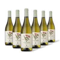 Cecchi Viognier 6 flessen