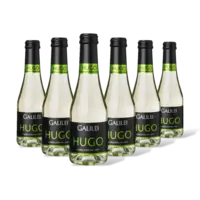 Galilei Hugo 6 flessen