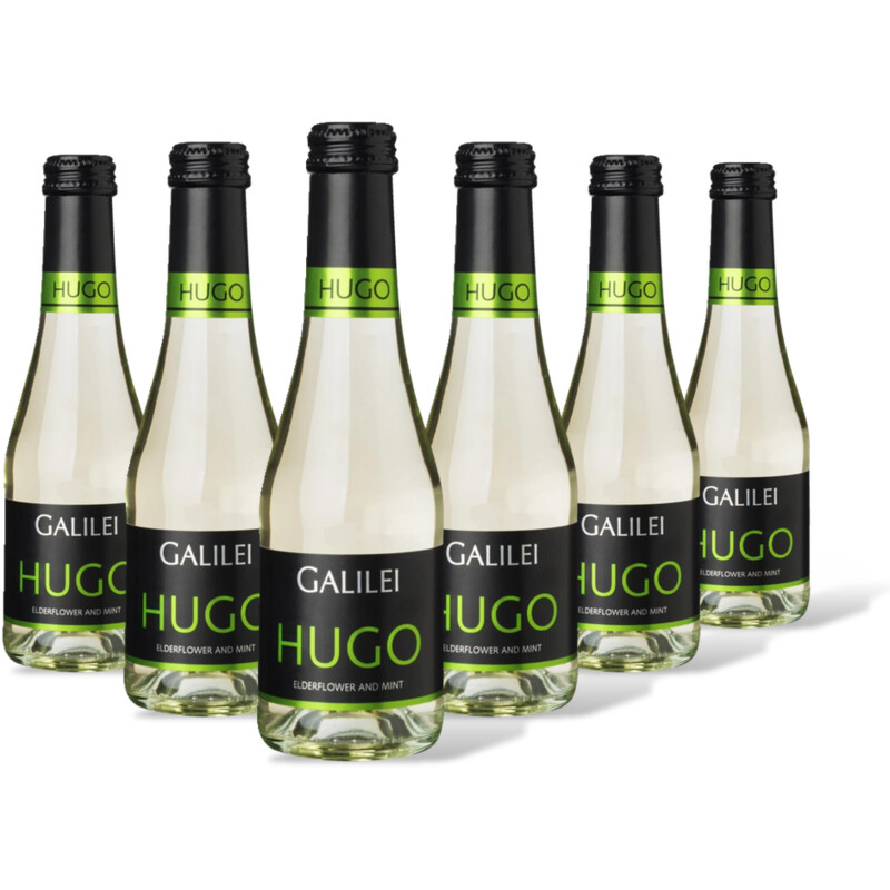 Galilei Galilei Hugo 6 flessen