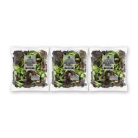 AH Jonge bladsla veldsla kleinverpak 3-pack