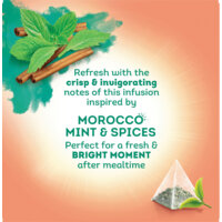 Een afbeelding van Lipton Morocco mint & spices