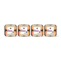 AH Fuji schaal 4-pack