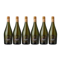 Solatio vino frizzante prosecco doc 6 flessen