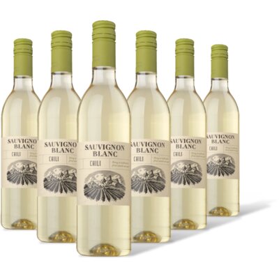 pdp-image-AH Sauvignon blanc 6 flessen