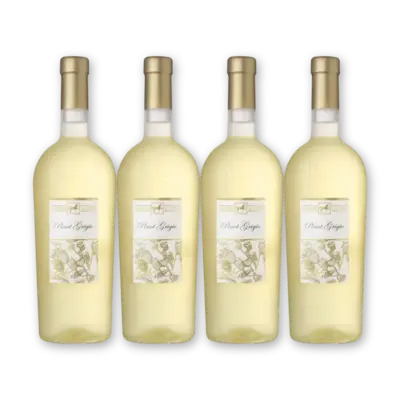 pdp-image-Ulisse Pinot grigio 4 flessen