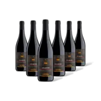 Terre di Verona Amarone 6 flessen
