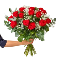 Rood rozenboekt met groen