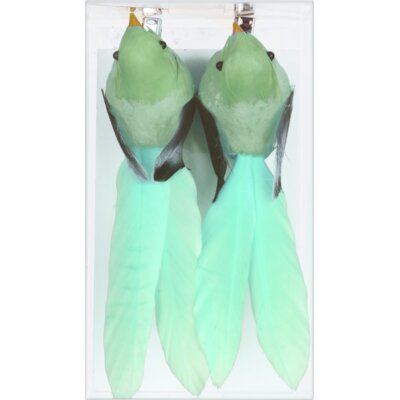 pdp-image-AH Vogels op clip groen