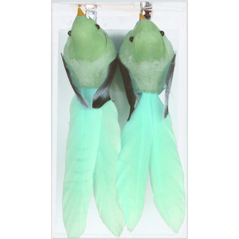 AH Vogels op clip groen