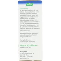 Een afbeelding van A.Vogel Echinaforce sterk 1200mg tabletten
