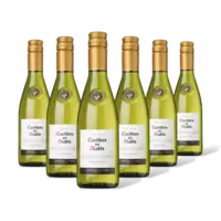 Casillero del Diablo Casillero Chardonnay Res. 6 flessen