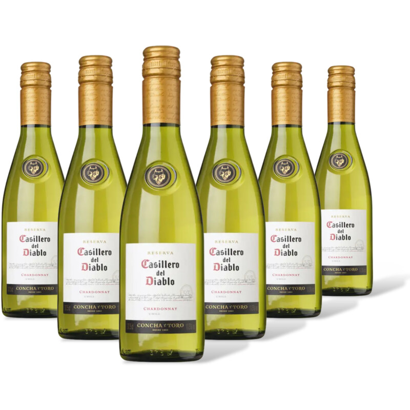 Casillero del Diablo Casillero Chardonnay Res. 6 flessen