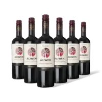 Aliwen Cabernet sauvignon reserva 6 flessen