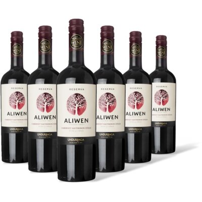 pdp-image-Aliwen Cabernet sauvignon reserva 6 flessen