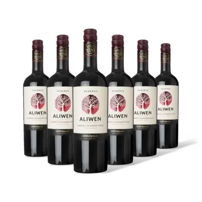 pdp-image-Aliwen Cabernet sauvignon reserva 6 flessen