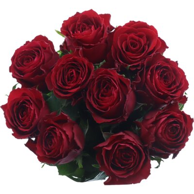 pdp-image-AH Roos rood