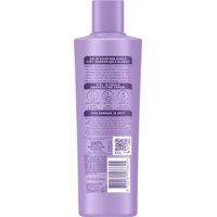 Een afbeelding van Andrélon Zilver care shampoo