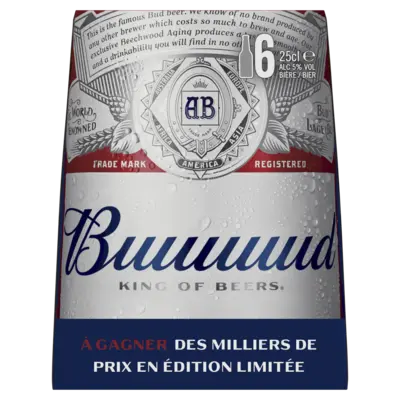pdp-image-Bud Pils 6-pack