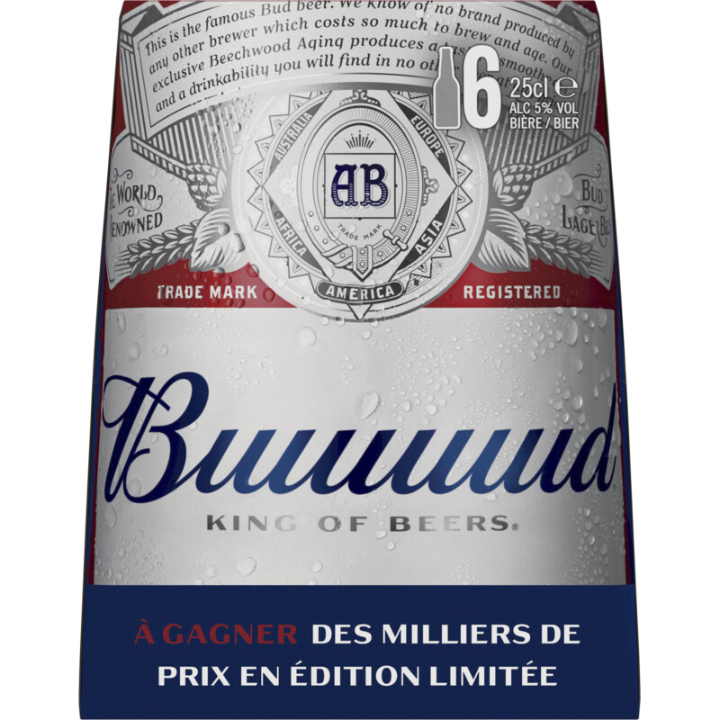Een afbeelding van Bud Pils 6-pack
