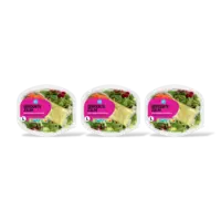 AH Maaltijdsalade gerookte zalm 3-pack