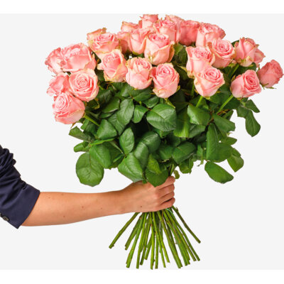 pdp-image-AH Roze rozen x25