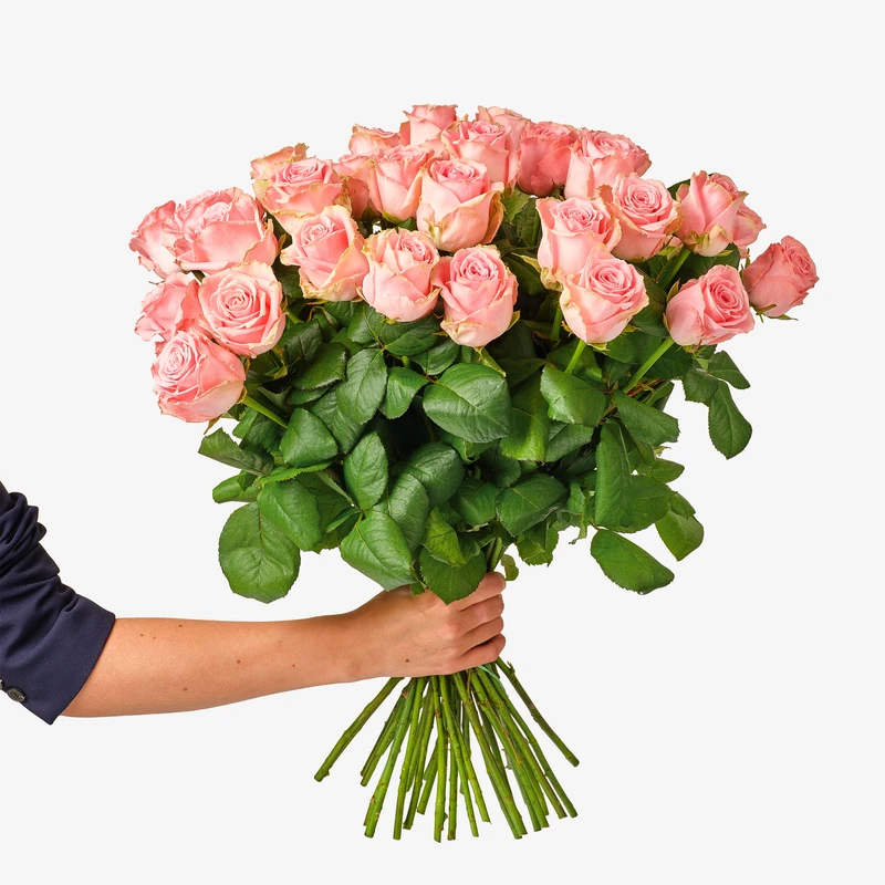 AH Roze rozen x25