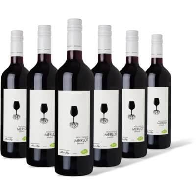 pdp-image-AH Biologisch Merlot 6 flessen