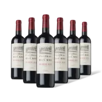 Chateau de Bon Ami Bordeaux 6 flessen