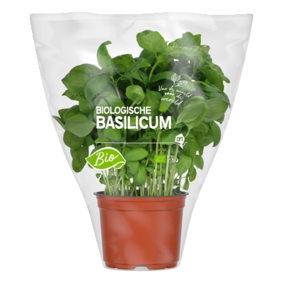 pdp-image-AH Biologisch Basilicum pot